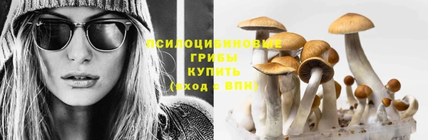 прущие крисы Балабаново