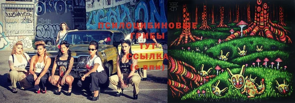 трава Баксан