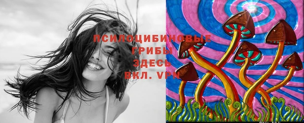 прущие крисы Балабаново